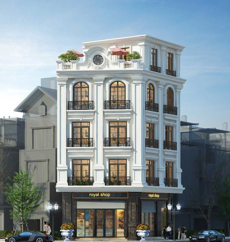 Nhà ống 5x17m Tân Cổ Điển kinh doanh